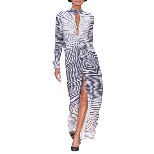 Zebra Print Maxi Dress